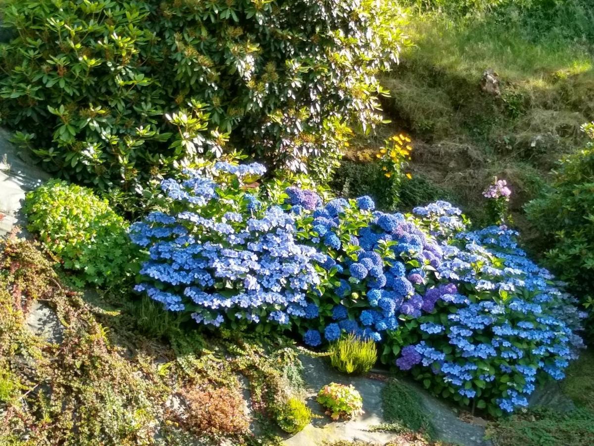 Les Hortensias La Poultiere エクステリア 写真